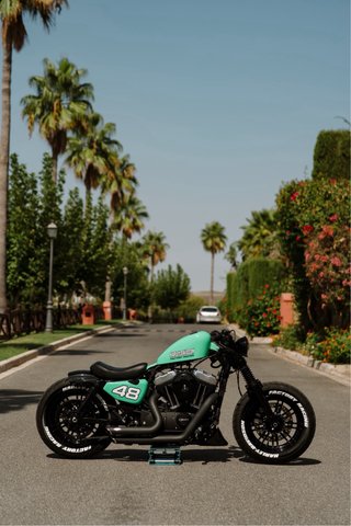 HARLEY-DAVIDSON “FACTORY RACING” CONCEPT
