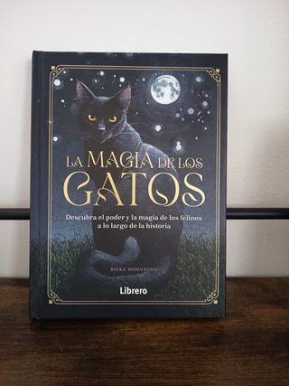La magia de los gatos
