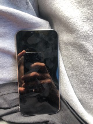 iPhone 13 Pro Max per parti