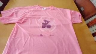 Camiseta Manga Corta