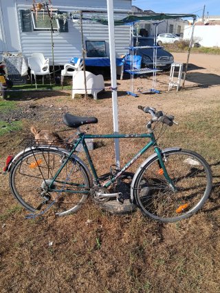 Bicicleta de Montaña Verde