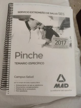 Pinche del Servicio Extremeño de Salud (SES). T...