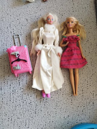 Pack de 2 Muñecas Barbie con Accesorios