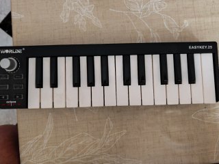Teclado MIDI Worlde Easykey.25 solo venta en perso