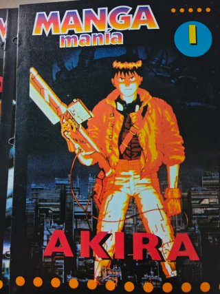 14 fascículos de Manga Manía.