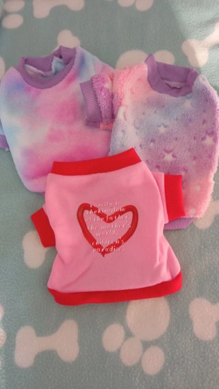 Ropa cálida perritas pequeñas