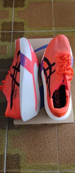 Zapatillas Asics Metaspeed Sky Tokyo T.42