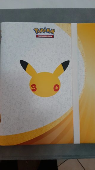 Raccoglitore Pokémon 25° Anniversario