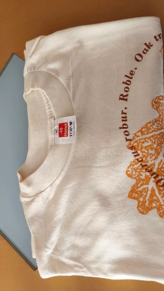 Camiseta Hanes Blanca Talla XL