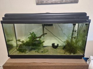 Acuario de 80 litros