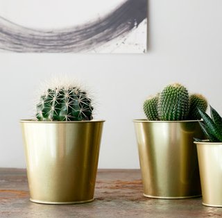 Macetero DAIDAI Ikea Dorado