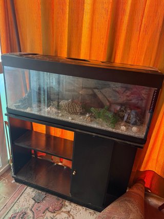 Acuario Grande con Mueble