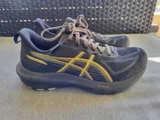 Zapatillas Running Asics GT-1000 14 GORE-TEX