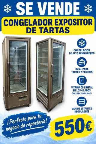 Congelador Expositor de Tartas
