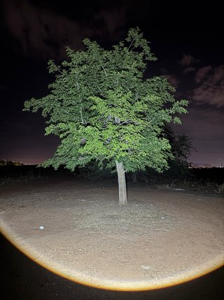 Linterna LED Compacta de Alta Potencia