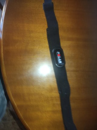 Cinta polar de reloj ft4