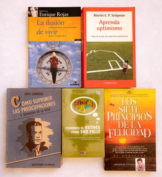 Los Siete Principios de la Felicidad