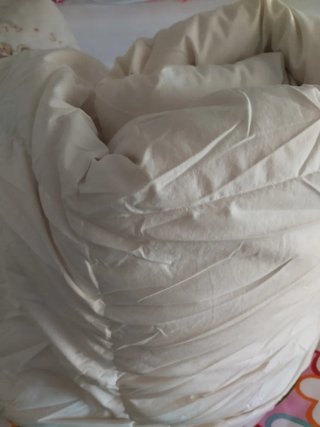 Relleno Nórdico de plumas para Cama de 90.