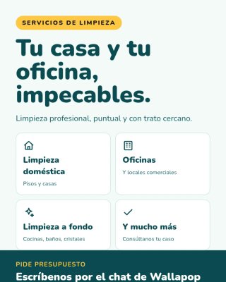 Limpieza profesional