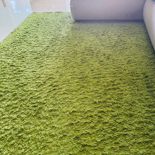 Alfombra de Salón Verde( precio negociable)
