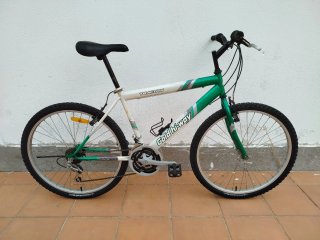 Bicicleta Gold Hi-Way Traction