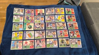 Lote de Cromos Panini Colección Liga 2006-07