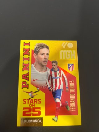 Cromo Panini Fernando Torres Stars on 25