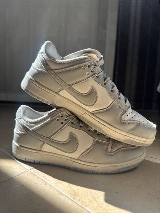 Zapatillas Nike Dunk Grises