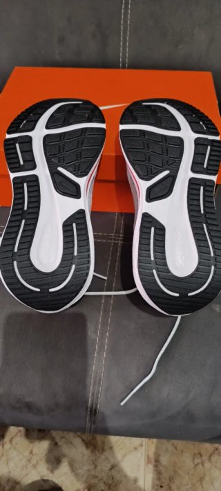 Zapatillas Nike Winflo 12