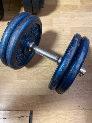 Mancuerna de 22kg con Discos de Hierro