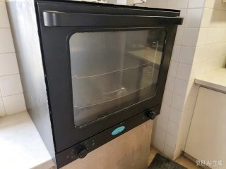 Horno Profesional de Cocina
