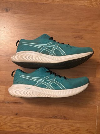Zapatillas Asics Gel Excite 10