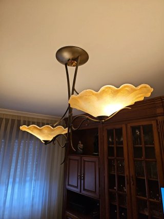 Lámpara de Techo con Dos Tulipas