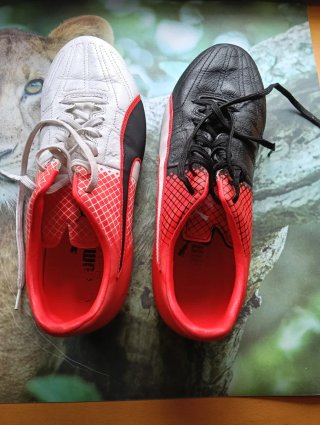 Zapatillas Fútbol Puma Evo Speed