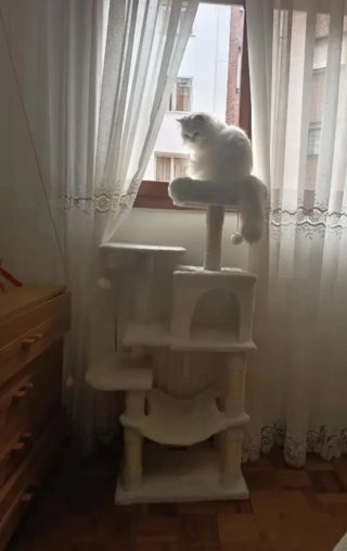 Rascador para gatos blanco