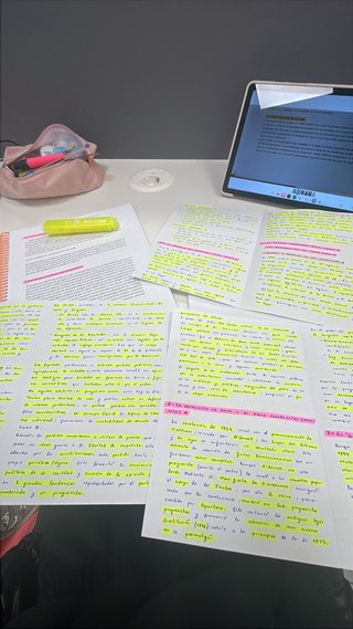 CLASES PARTICULARES ONLINE Y PRESENCIALES