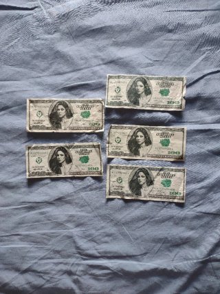 Set de 5 Billetes Decorativos de Shakira