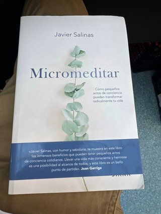 Micromeditar: Cómo pequeños actos de conciencia...