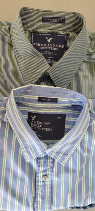 2 Camisas American Eagle Outfitters Talla L