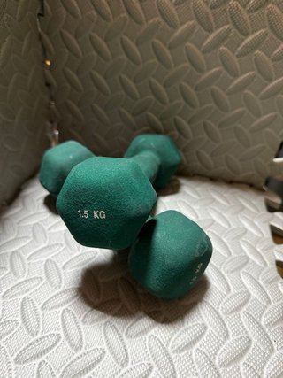 Manubri da 1,5 kg (2 unità)
