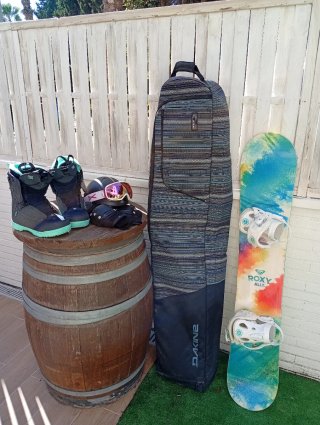 Lote completo de Snowboard