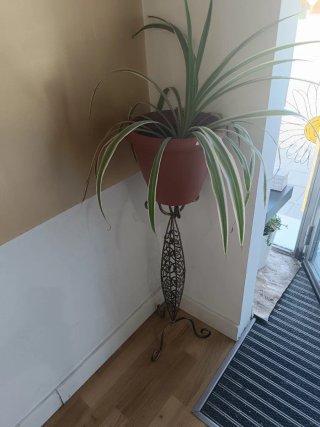 Maceta con Planta Cinta y Pie de Metal