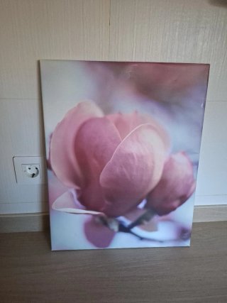 Cuadro Decorativo de Flor