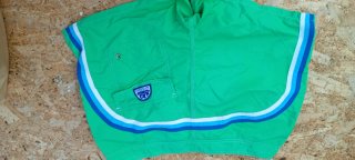 Costume da bagno Sundek verde