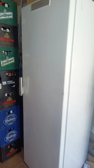 Congelador Vertical Balay