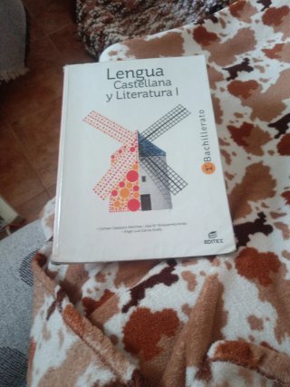 Lengua castellana y literatura I, 1º Bachillerato