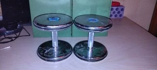 Set di 2 Manubri SALTER 10kg