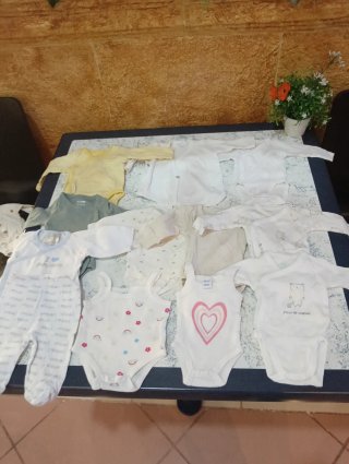 Lote de 12 Bodys para Recién Nacido