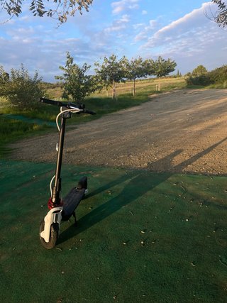 Patinete eléctrico ninebot f3 negociable