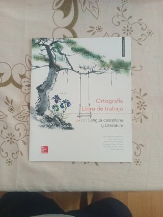 Ortografía Libro de Trabajo 2 ESO